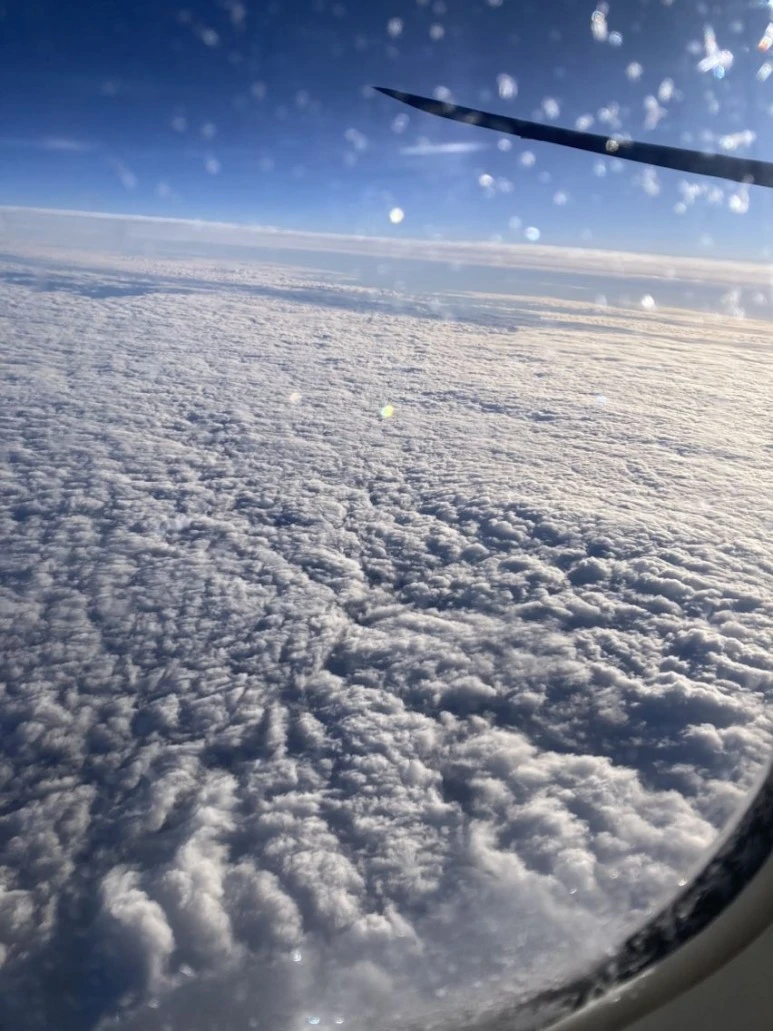 1713085644222.jpg?type=w773