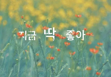 KakaoTalk_20241221_080614431_03.jpg?type=w386