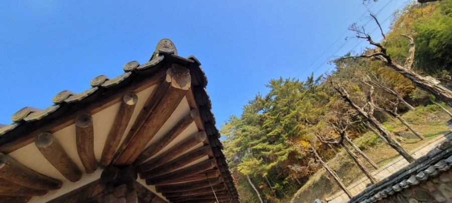 20211120%EF%BC%BF143141.jpg?type=w1