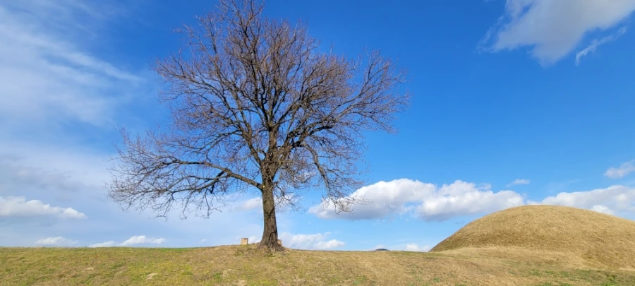 20211122%EF%BC%BF151749.jpg?type=w1