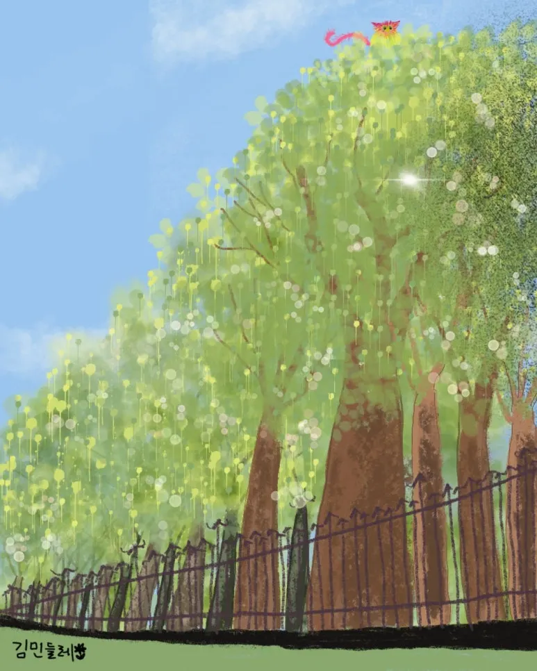 KakaoTalk_20250719_142627564_12.jpg?type=w773