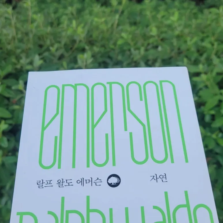 SE-efb5ca2d-589e-4b06-b542-3da6a0749175.jpg?type=w773