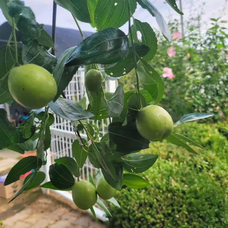 20250914_151708.jpg?type=w773