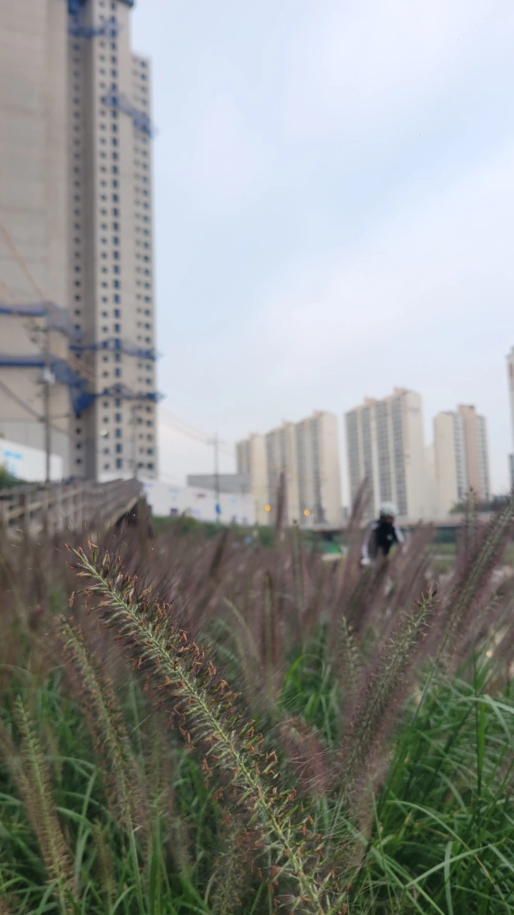 3472591154186691420:29062375.jpg?type=w773