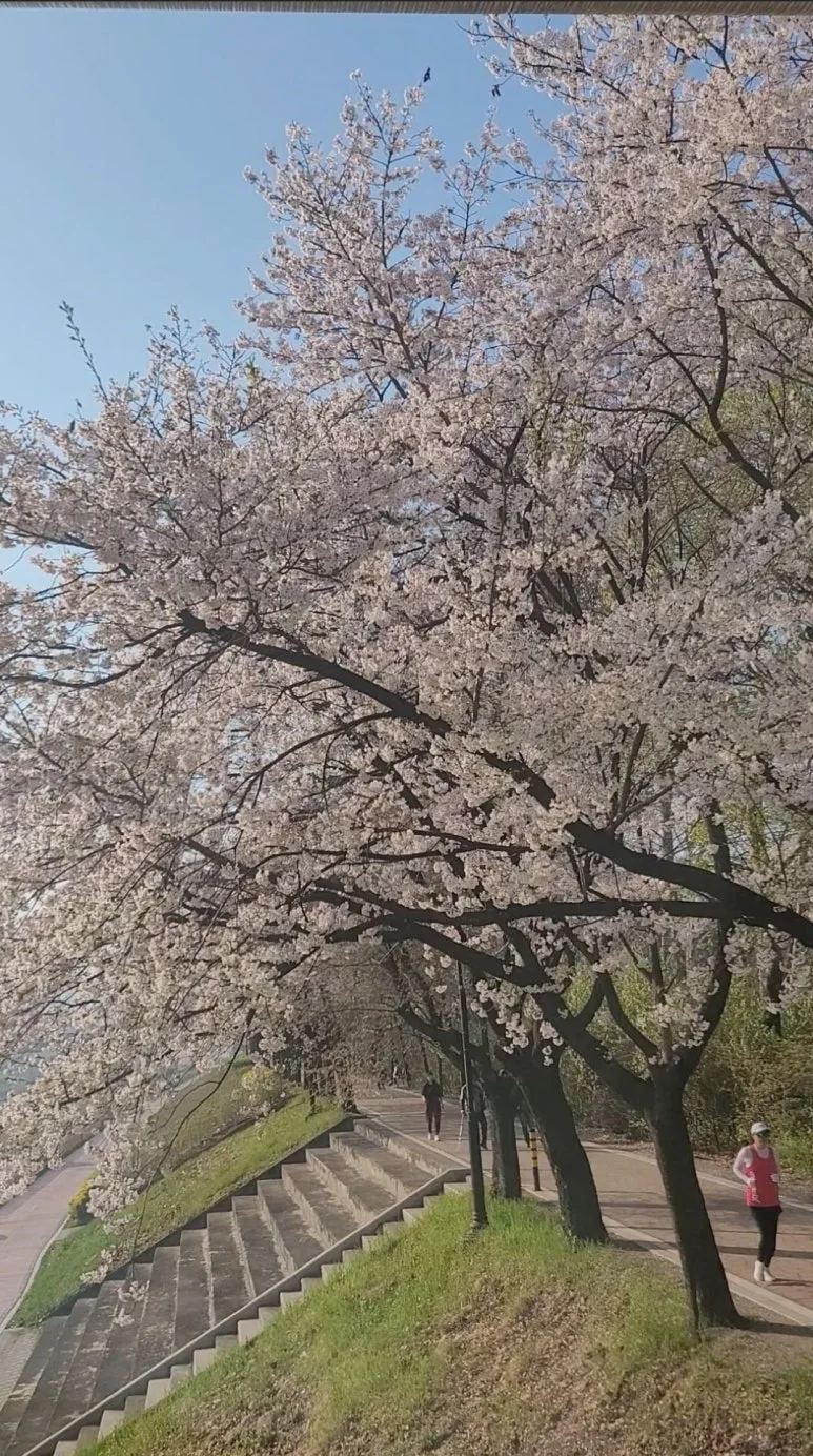 Screenshot_20250411_081826_Gallery.jpg?type=w773