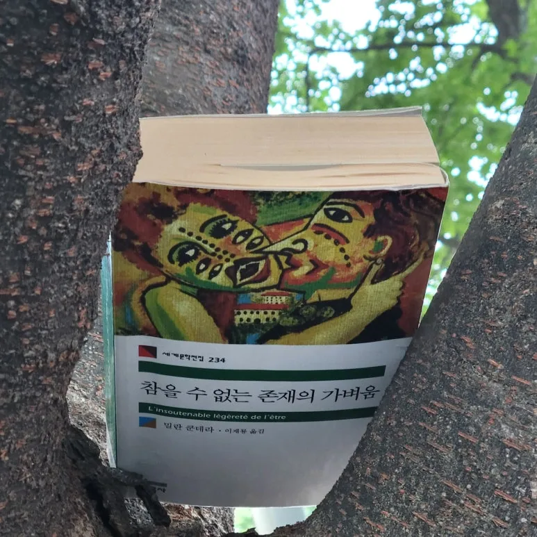 SE-2cbbb65b-21ba-4530-a022-b41db70d952b.jpg?type=w773