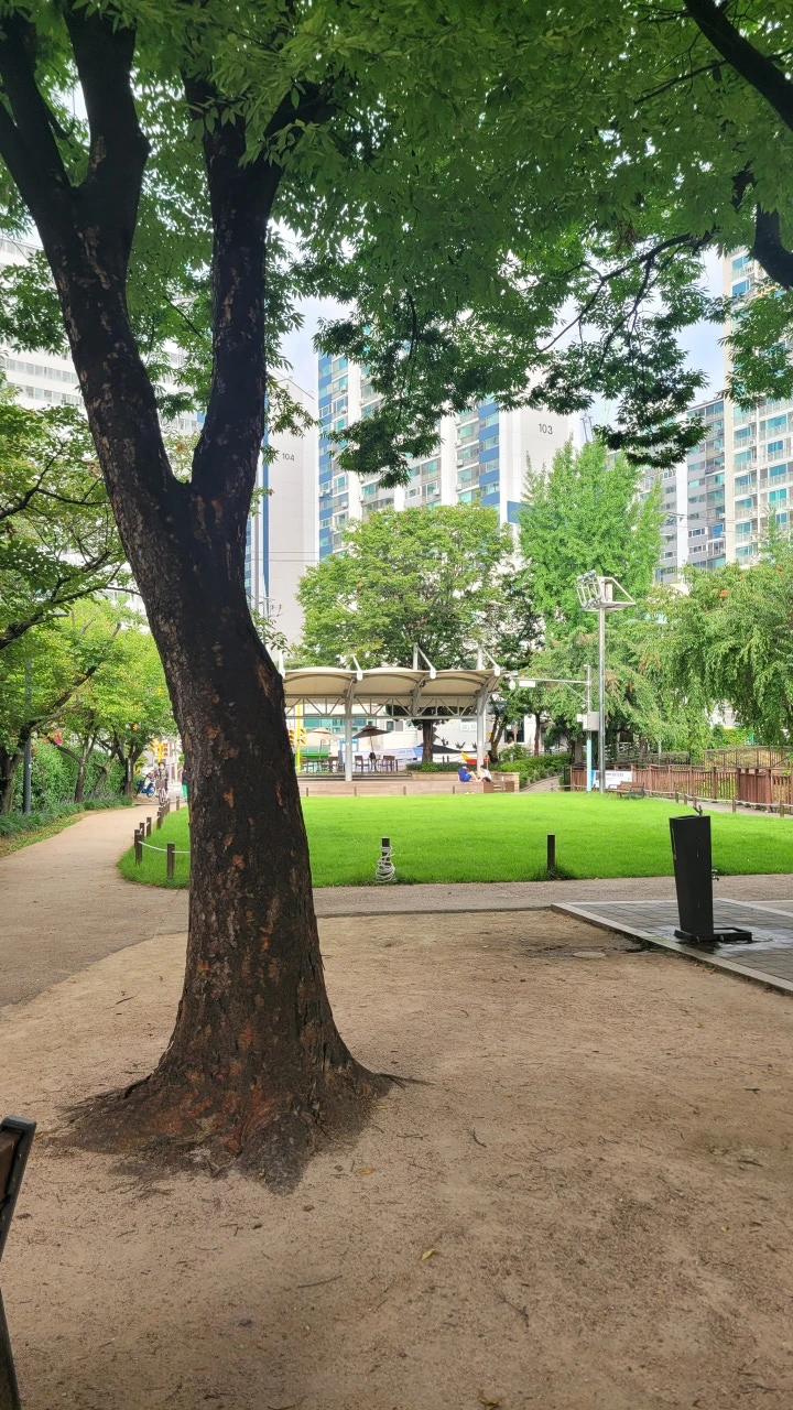 3472590658296602460:29062375.jpg?type=w773