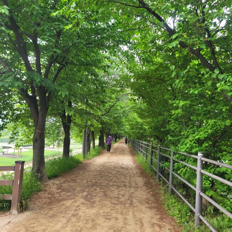 3472568790318834012:29062375.jpg?type=w773