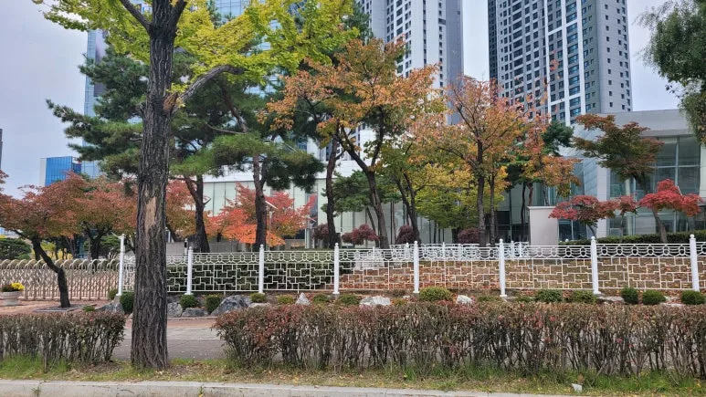 20251026_145332.jpg?type=w773