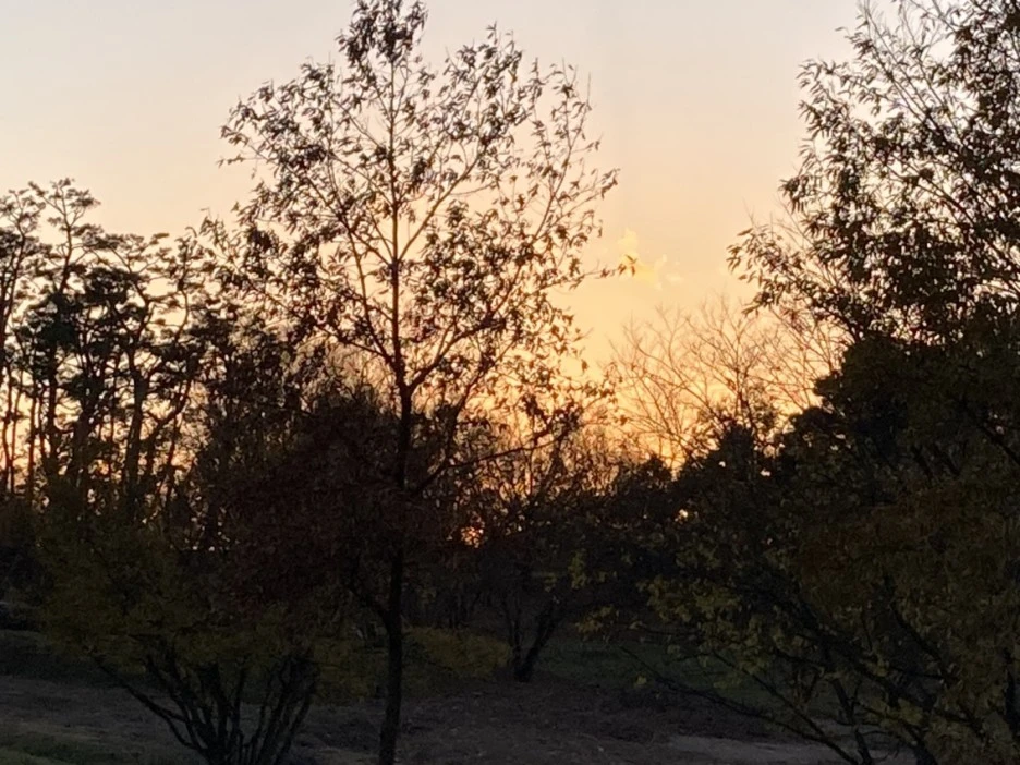 KakaoTalk_20211127_230059005.jpg?type=w1