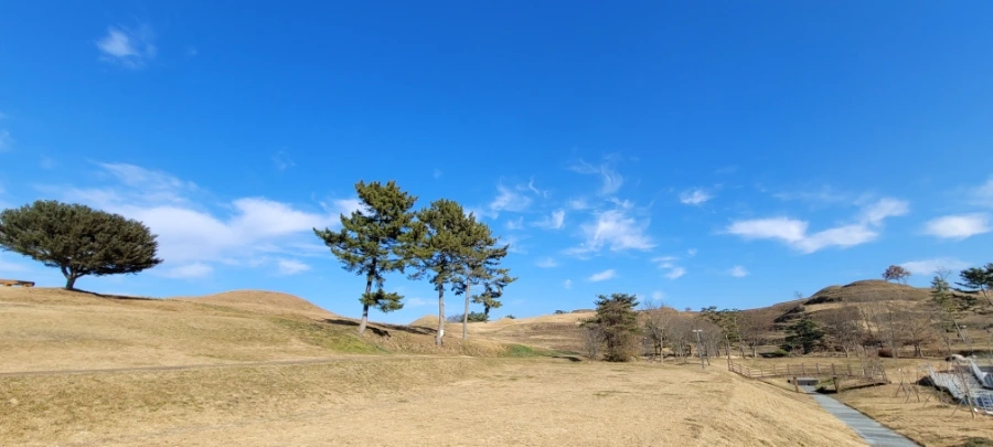 20211129%EF%BC%BF141238.jpg?type=w1