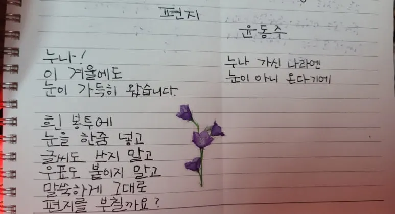 3472589482695540828:29062375.jpg?type=w773