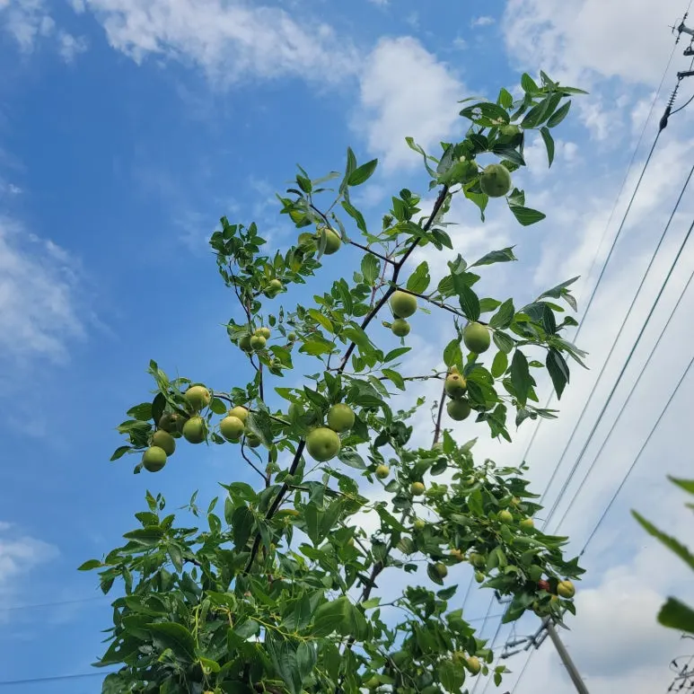 20250914_151801.jpg?type=w773