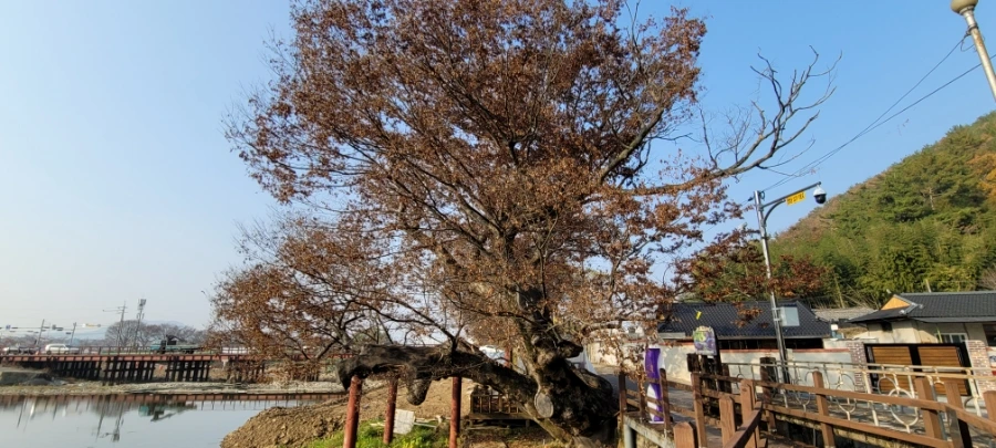 20211120%EF%BC%BF142930.jpg?type=w1