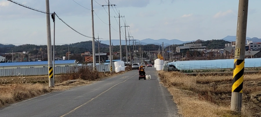 20211122%EF%BC%BF161351.jpg?type=w1