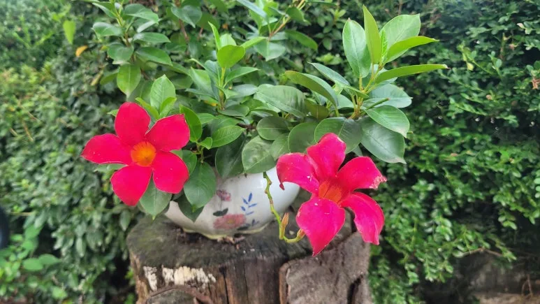 20250914_151422.jpg?type=w773