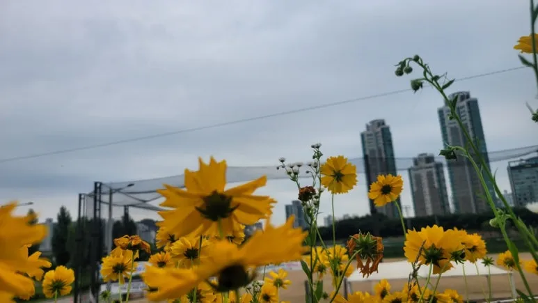 3472568971463291228:29062375.jpg?type=w773