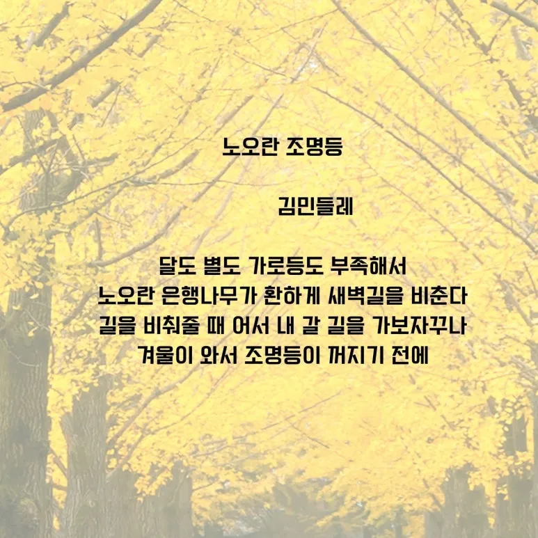 SE-05372c0a-73cb-48a7-9946-288485b81a43.jpg?type=w773