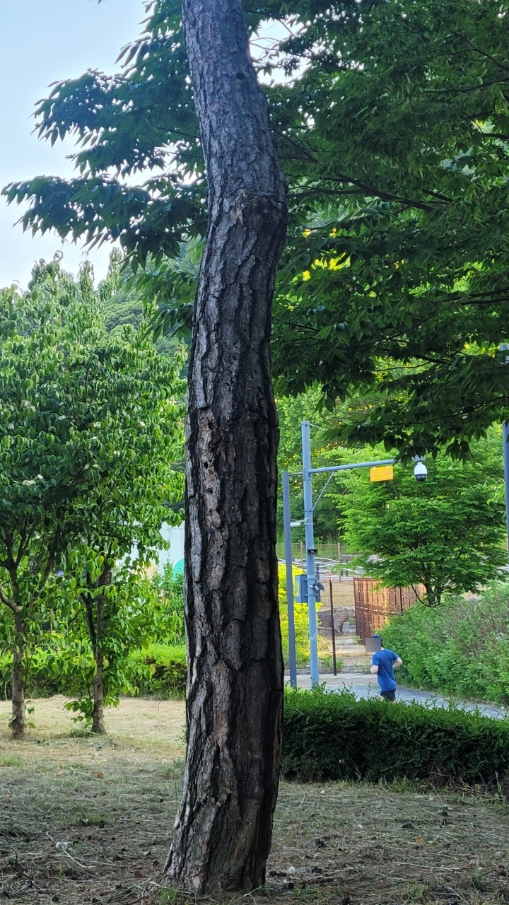 SE-98f2da91-ed19-49b5-ab15-2fe87de0964b.jpg?type=w773