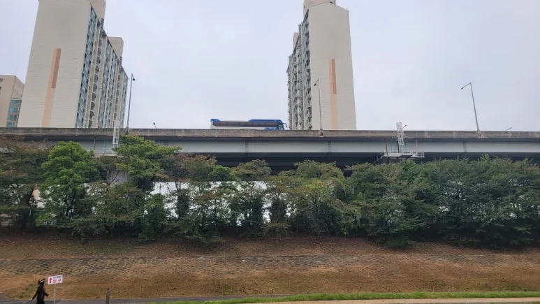 SE-c0856cd4-1e26-4caf-83f0-20097c48d7c4.jpg?type=w773