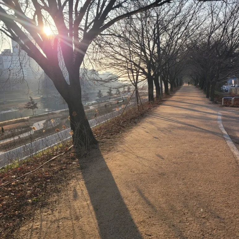 900%EF%BC%BF20251215%EF%BC%BF085849.jpg?type=w773