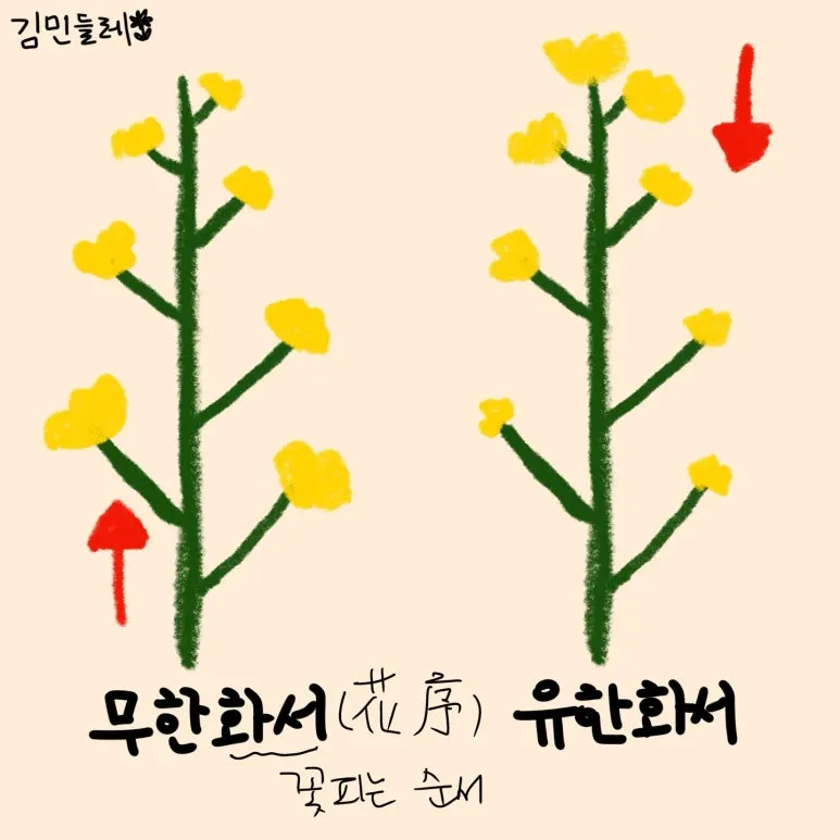 KakaoTalk_20241209_130555929.jpg?type=w773