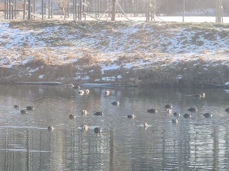 1703307505770.jpg?type=w773