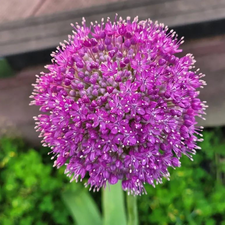 20250527_061959.jpg?type=w773