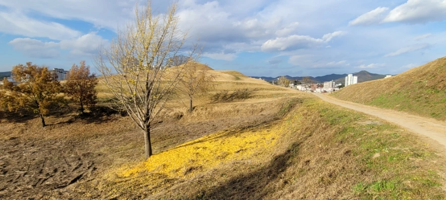 20211122%EF%BC%BF152251.jpg?type=w1