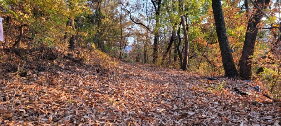 20211122%EF%BC%BF165741.jpg?type=w1