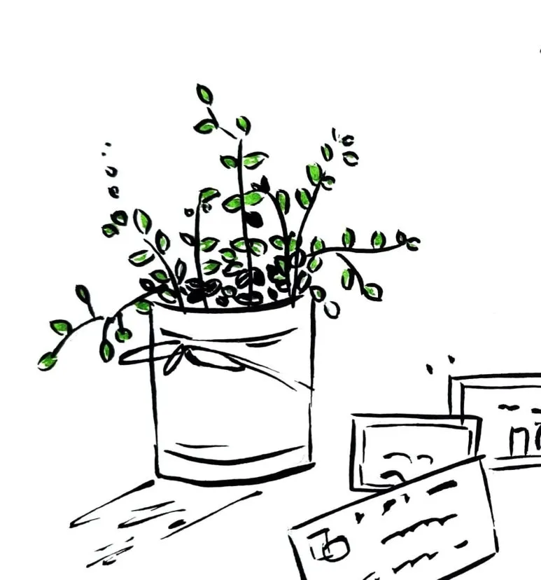 temp_1663755426977.752101825.jpeg?type=w773