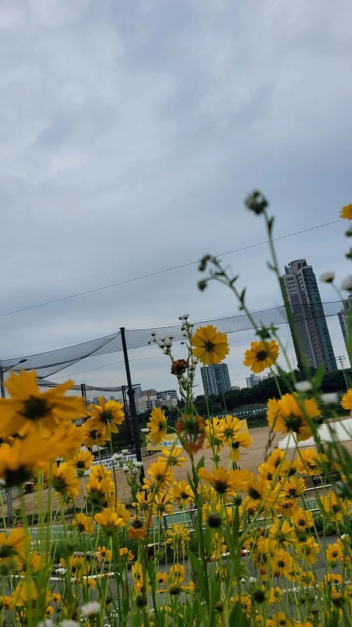 3472568971462613084:29062375.jpg?type=w773