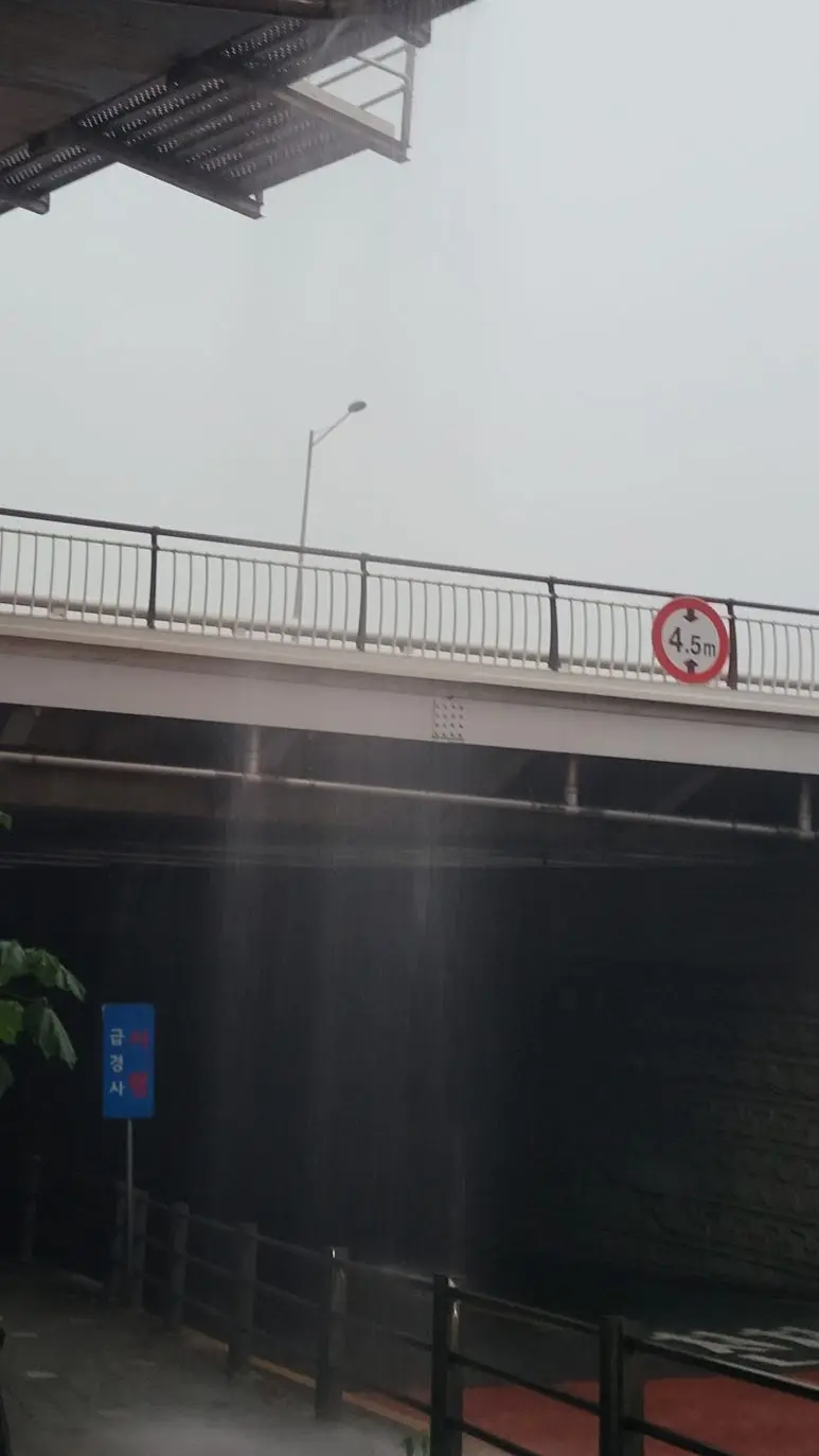 20250717_062152.jpg?type=w773