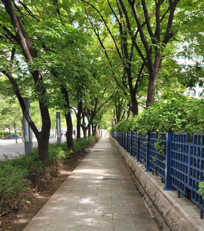 SE-d8e9d946-cf84-4413-b4c1-fd1d576d9703.jpg?type=w773