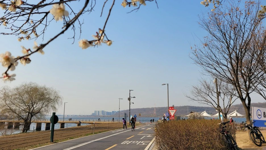 20230318_161734.jpg?type=w1