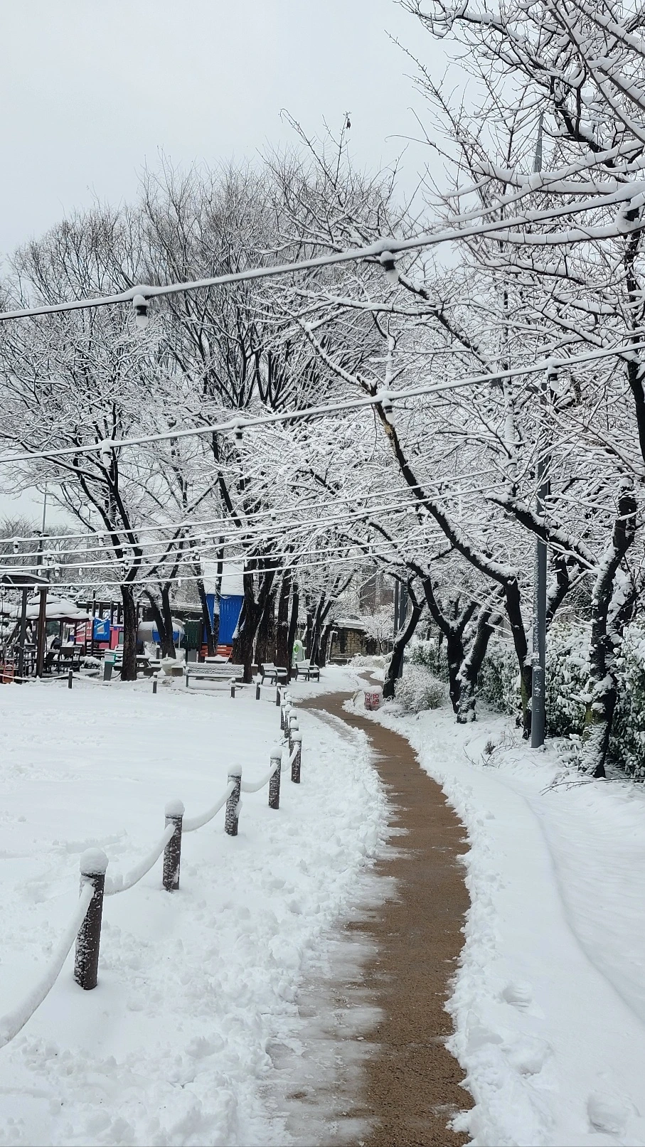 KakaoTalk_20240223_083052326.jpg?type=w1