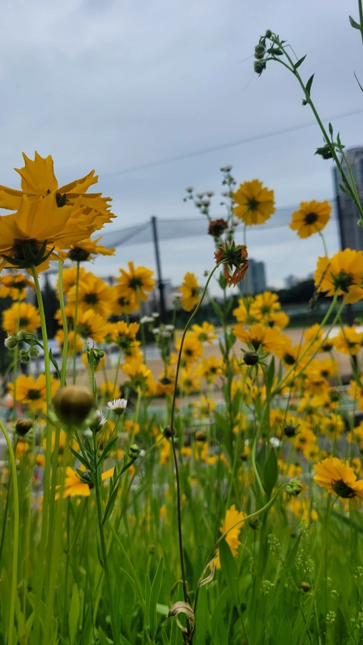 3472568971462612828:29062375.jpg?type=w773