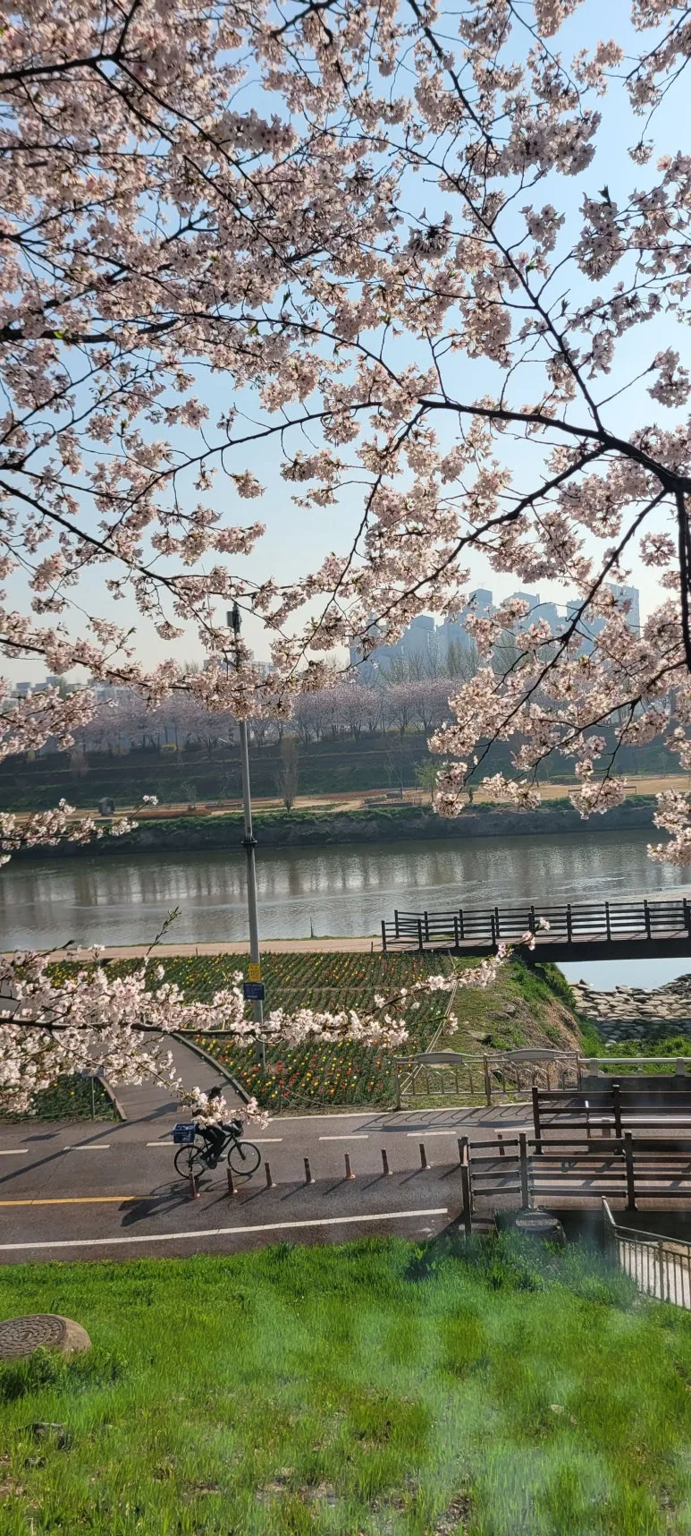 20250411_085039.jpg?type=w773