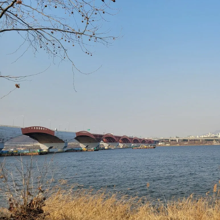 SE-0537150d-2567-49b3-a226-888ba1c9e815.jpg?type=w773