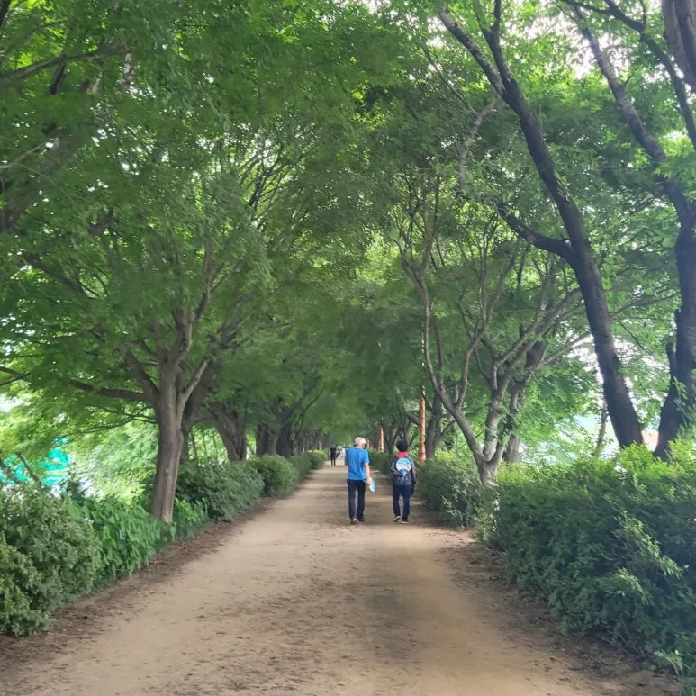 SE-0fbbf908-c063-4a16-944e-1fe27d760e7e.jpg?type=w773