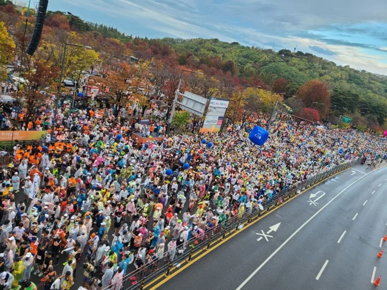 1699172258397.jpg?type=w773