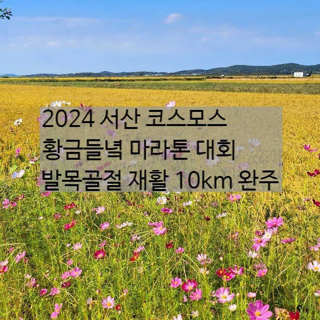 SE-c4d6dd22-4599-4e4b-811d-ba20a9350c6c.jpg?type=w773