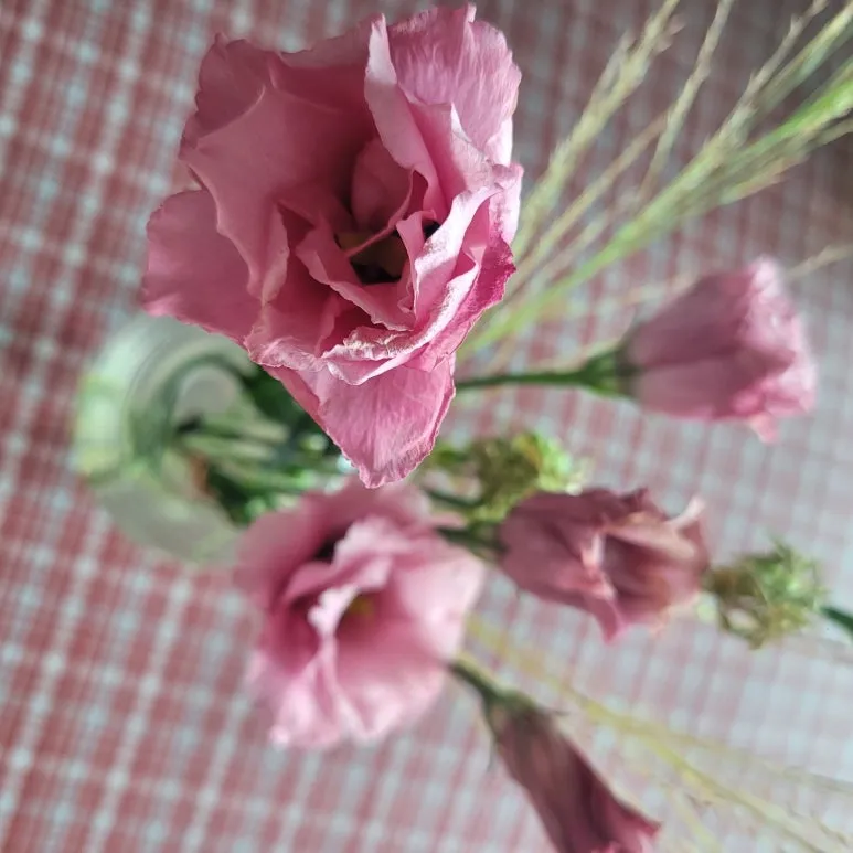 20250912_110729.jpg?type=w773