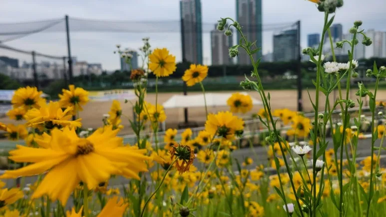 3472568971462965340:29062375.jpg?type=w773