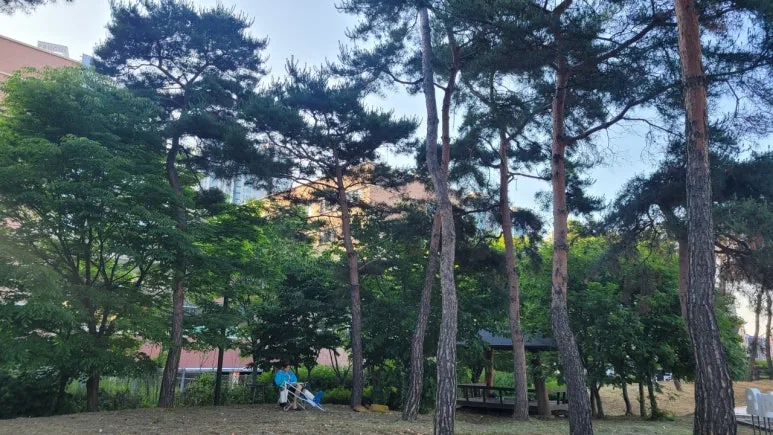 3472575198610190428:29062375.jpg?type=w773