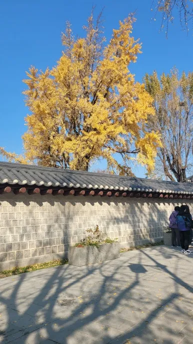 20251116_120212.jpg?type=w386