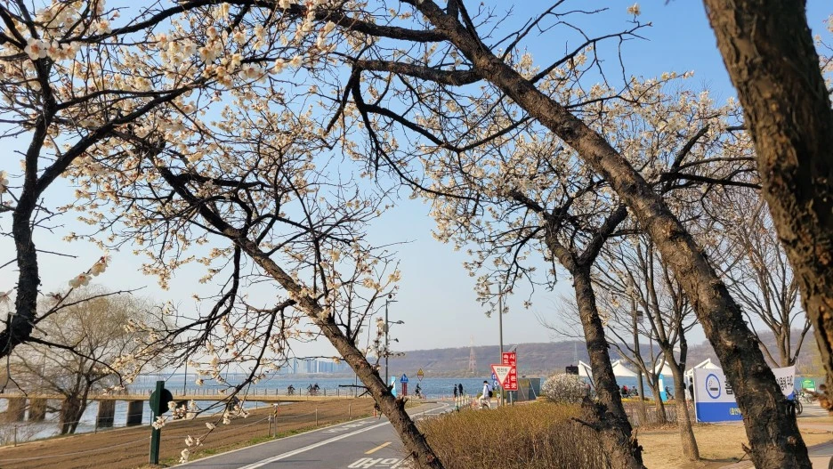 20230318_161622.jpg?type=w1