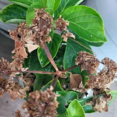 20250912_110857.jpg?type=w386