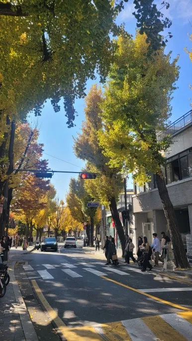 20251115_123942.jpg?type=w386