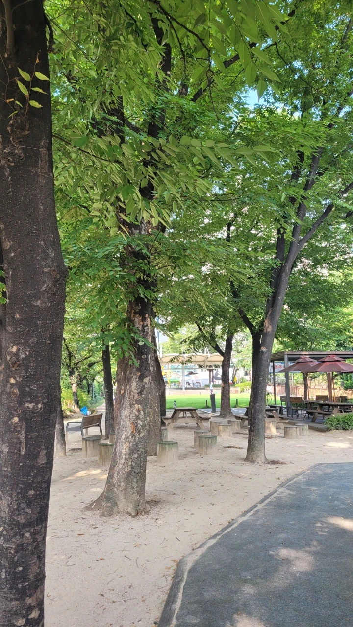 3472590658296543836:29062375.jpg?type=w773